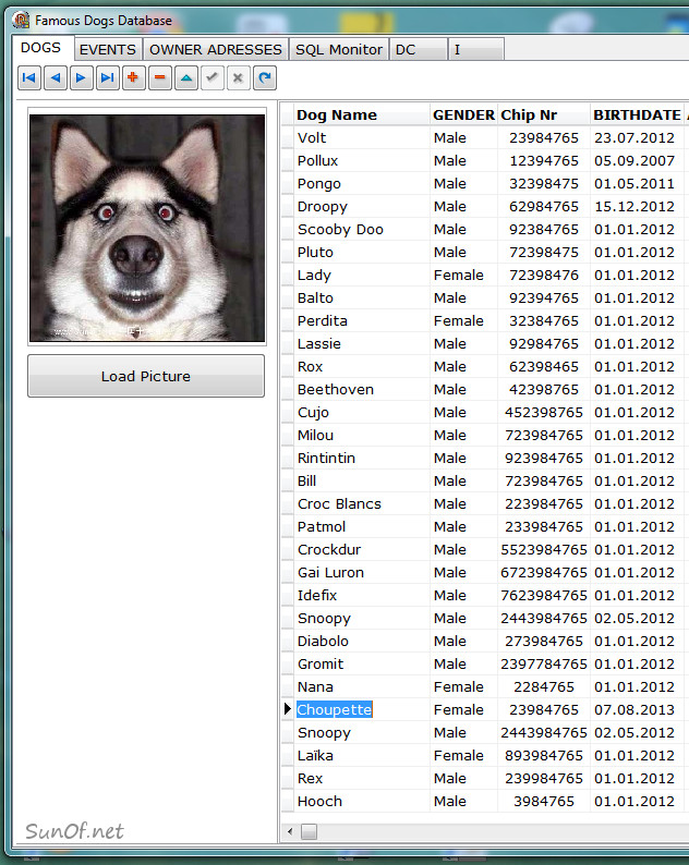 famous dogs database_choupette_SunOf.net